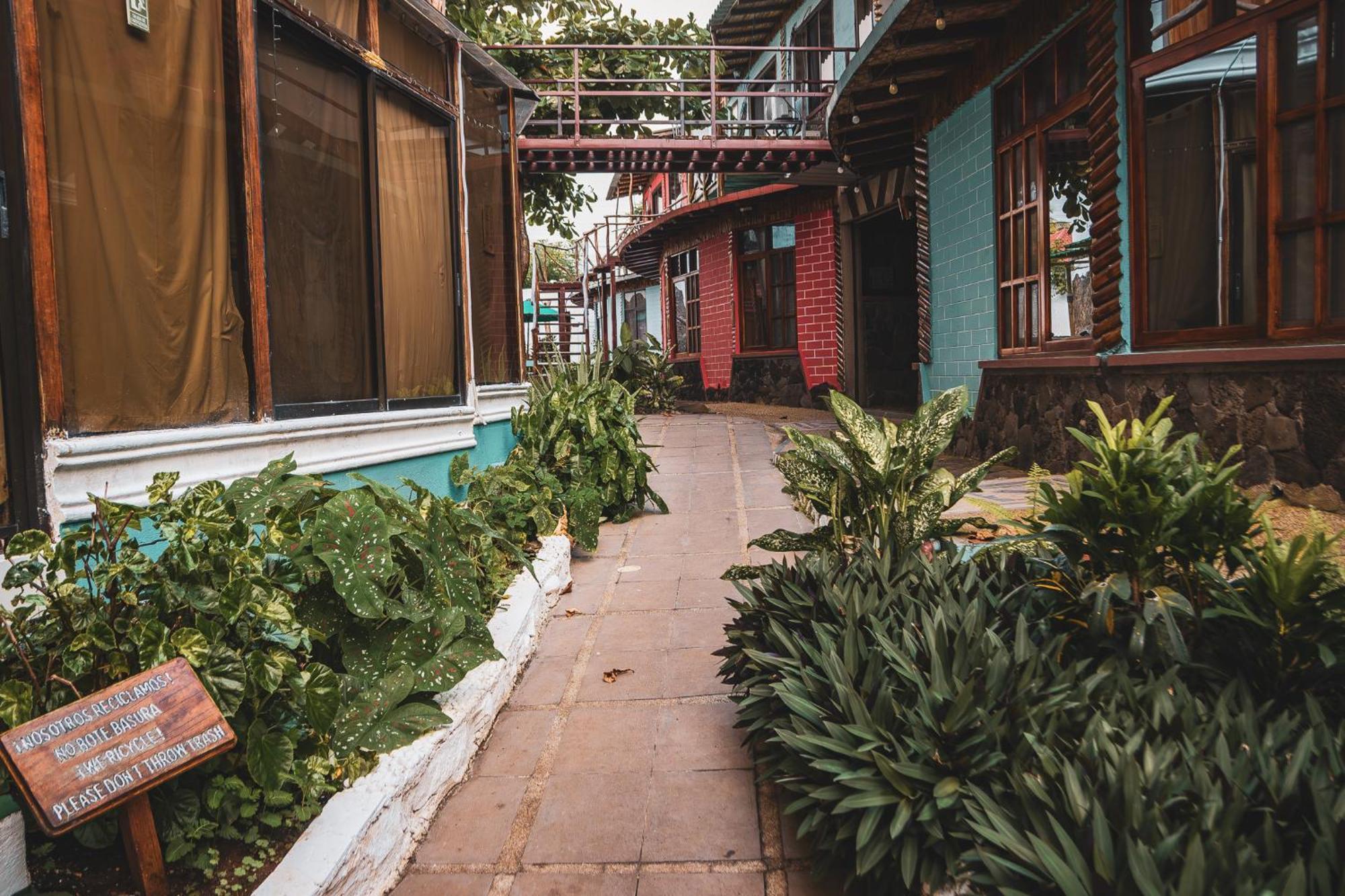 Hotel Miconia Пуэрто-Бакерисо-Морено Экстерьер фото